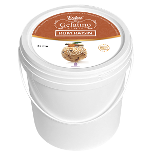Esku Gelatino Rasa Rum Raisin 5L